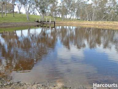 Farm For Sale - VIC - Balmoral - 3407 - Magnificicent Rural Package  (Image 2)