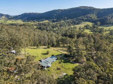 Farm For Sale - NSW - Stroud - 2425 - Private Lifestyle Retreat on 113 Acres  (Image 2)