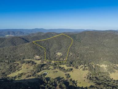 Farm For Sale - NSW - Stroud - 2425 - Private Lifestyle Retreat on 113 Acres  (Image 2)