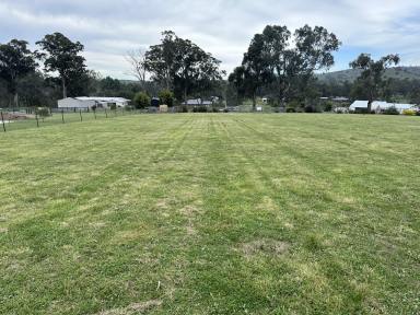 Farm For Sale - VIC - Alexandra - 3714 - Best block in town!  (Image 2)