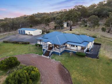 Farm Auction - QLD - Mount Molar - 4361 - "Tinarra" - Panoramic Views from Immaculate Lifestyle Acreage!  (Image 2)