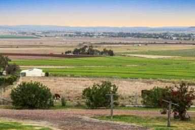 Farm Auction - QLD - Mount Molar - 4361 - "Tinarra" - Panoramic Views from Immaculate Lifestyle Acreage!  (Image 2)