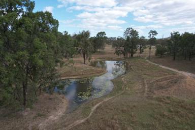 Farm For Sale - QLD - Monto - 4630 - Monto District Backgrounding and Breeding  (Image 2)