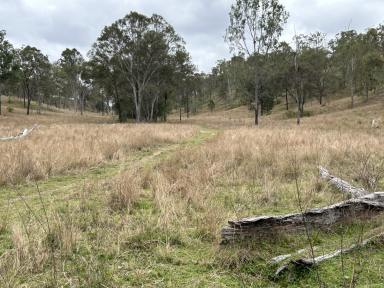 Farm For Sale - QLD - Monto - 4630 - Monto District Backgrounding and Breeding  (Image 2)