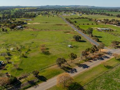 Farm Auction - NSW - Temora - 2666 - 5 Acre Opportunity - Subdivision Approved!  (Image 2)