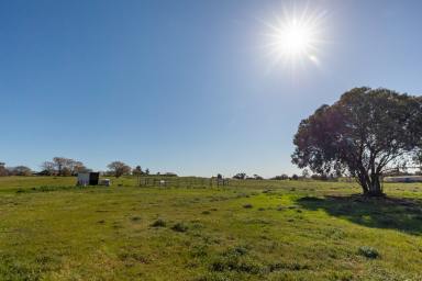 Farm Auction - NSW - Temora - 2666 - 5 Acre Opportunity - Subdivision Approved!  (Image 2)