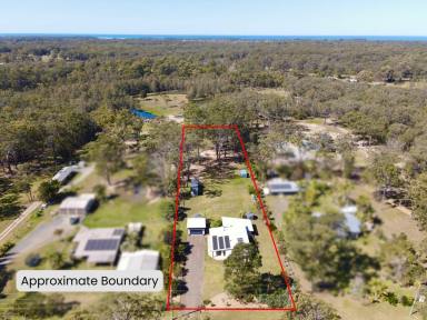 Farm For Sale - NSW - Old Bar - 2430 - SUSTAINABLE LIFESTYLE ACREAGE ON THE COAST  (Image 2)