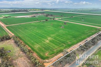 Farm Auction - NSW - Bunnaloo - 2731 - "MERRYBANK" - 640 Acres of Irrigation & Cropping Property - AUCTION  (Image 2)