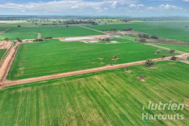 Farm Auction - NSW - Bunnaloo - 2731 - "MERRYBANK" - 640 Acres of Irrigation & Cropping Property - AUCTION  (Image 2)