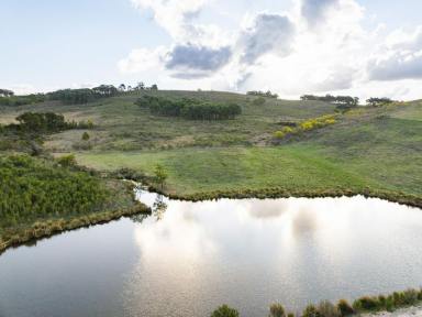 Farm Auction - NSW - Jerrawa - 2582 - Divorce Dictates Sale - Owners Must Sell to Finalise Settlement - Buyers Guide $980,000  (Image 2)