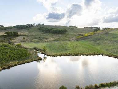 Farm For Sale - NSW - Jerrawa - 2582 - Divorce Dictates Sale - Owners Must Sell to Finalise Settlement  (Image 2)