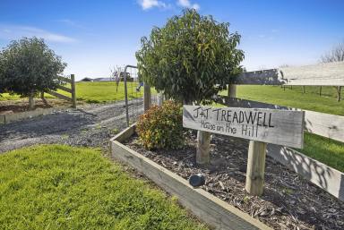 Farm For Sale - VIC - Kardella South - 3950 - "HOUSE ON THE HILL"  (Image 2)