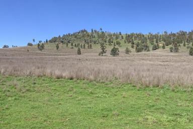 Farm Auction - NSW - Merrygoen - 2831 - Cropping and Grazing  (Image 2)