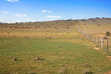 Farm For Sale - SA - Ucolta - 5422 - Add to your grazing enterprise  (Image 2)