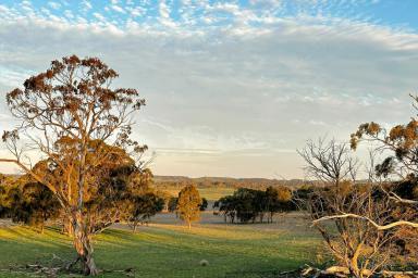 Farm For Sale - NSW - Taralga - 2580 - Rural land, close to village - with building entitlement.  (Image 2)