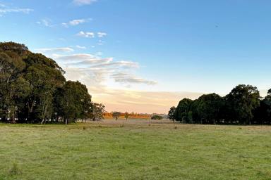 Farm For Sale - NSW - Taralga - 2580 - Rural land, close to village - with building entitlement.  (Image 2)