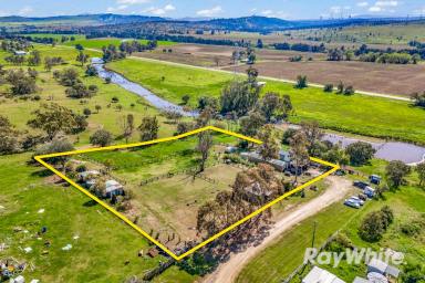 Farm For Sale - NSW - Jerrys Plains - 2330 - Horse Friendly Property on 2 Acres!  (Image 2)