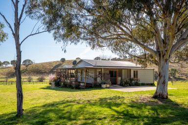 Farm Auction - NSW - Orange - 2800 - 'Hidden Valley' - Well Presented Farm in a Picturesque Setting  (Image 2)