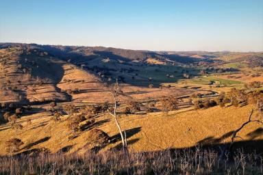 Farm For Sale - NSW - Bathurst - 2795 - Stunning Views – DA Approved Plans  (Image 2)