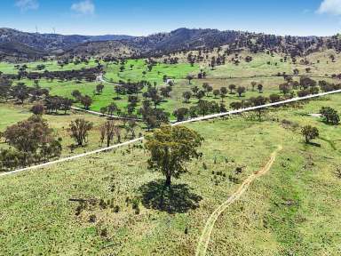 Farm For Sale - NSW - Bathurst - 2795 - Stunning Views – DA Approved Plans  (Image 2)