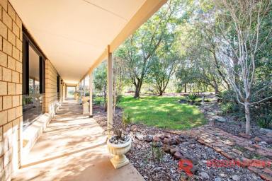 Farm For Sale - NSW - Dubbo - 2830 - Nature Lovers Retreat!  (Image 2)