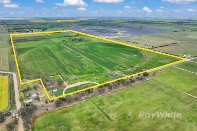 Farm For Sale - VIC - Girgarre - 3624 - Agricultural Ventures  (Image 2)