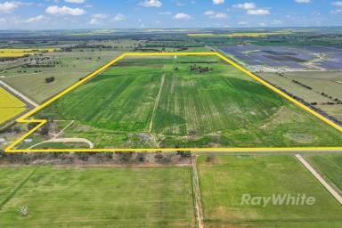 Farm For Sale - VIC - Girgarre - 3624 - Agricultural Ventures  (Image 2)