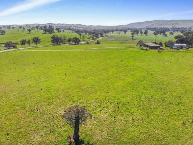 Farm For Sale - NSW - Tumut - 2720 - Rural Lifestyle  (Image 2)