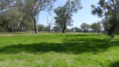 Farm For Sale - NSW - Warren - 2824 - A Piece Of Paradise  (Image 2)