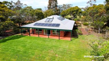 Farm For Sale - WA - Lennard Brook - 6503 - Sought-After Lifestyle Property on 5 Acres - Act Fast this one's neat as a pin!  (Image 2)