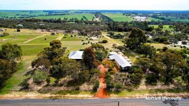 Farm For Sale - WA - Lennard Brook - 6503 - Sought-After Lifestyle Property on 5 Acres - Act Fast this one's neat as a pin!  (Image 2)