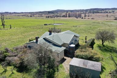 Farm For Sale - NSW - Braidwood - 2622 - "Milgadara"  (Image 2)