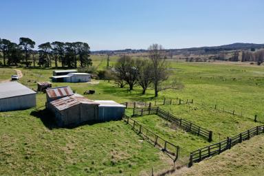 Farm For Sale - NSW - Braidwood - 2622 - "Milgadara"  (Image 2)