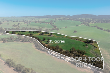 Farm For Sale - SA - Brady Creek - 5381 - AFFORDABLE RURAL RETREAT – BUILD YOUR ESCAPE.  (Image 2)