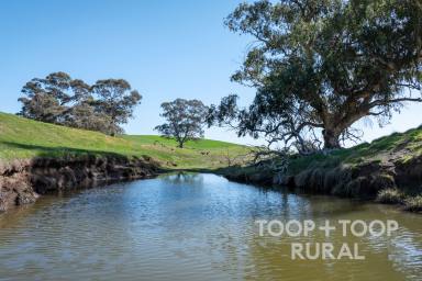 Farm For Sale - SA - Brady Creek - 5381 - AFFORDABLE RURAL RETREAT – BUILD YOUR ESCAPE.  (Image 2)