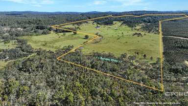 Farm For Sale - VIC - Bendoc - 3888 - Acres of Possibility in the High Country  (Image 2)