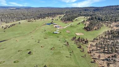 Farm For Sale - VIC - Bendoc - 3888 - Acres of Possibility in the High Country  (Image 2)