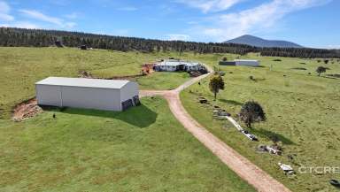 Farm For Sale - VIC - Bendoc - 3888 - Acres of Possibility in the High Country  (Image 2)