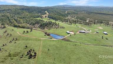 Farm For Sale - VIC - Bendoc - 3888 - Acres of Possibility in the High Country  (Image 2)