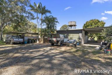 Farm For Sale - QLD - Burpengary East - 4505 - Spacious family Home on 13.4 acres in Burpengary East  (Image 2)