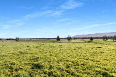 Farm For Sale - NSW - Berry - 2535 - "Gracelea" Unique 34.83 Hectare Waterfront Property  (Image 2)