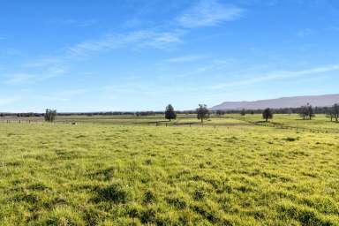 Farm For Sale - NSW - Berry - 2535 - "Gracelea" Unique 34.83 Hectare Waterfront Property  (Image 2)