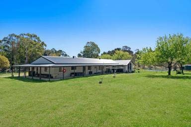 Farm For Sale - NSW - Tallong - 2579 - Country Charm & Modern Convenience  (Image 2)