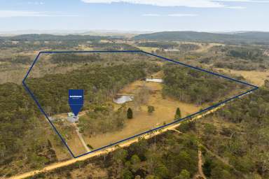 Farm For Sale - NSW - Braidwood - 2622 - "Tantulean Retreat"  (Image 2)