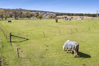 Farm For Sale - NSW - Goulburn - 2580 - "ACREAGE AVAILABLE IN THE HEART OF GOULBURN TOWNSHIP"  (Image 2)