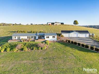 Farm For Sale - TAS - Wynyard - 7325 - Luxury Farm Life with Breathtaking Coastal Views on 105 acres (approx.)  (Image 2)