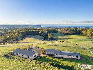 Farm For Sale - TAS - Wynyard - 7325 - Luxury Farm Life with Breathtaking Coastal Views on 105 acres (approx.)  (Image 2)