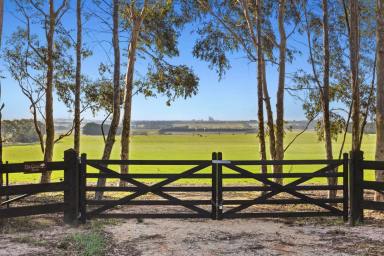 Farm For Sale - VIC - Freshwater Creek - 3217 - Stunning Exclusive Location on the Surf Coast  (Image 2)