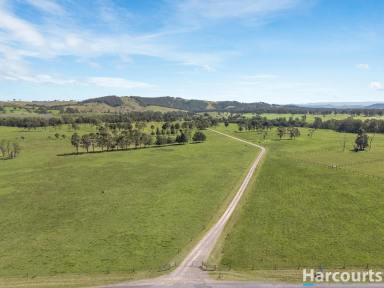 Farm For Sale - NSW - Glen Martin - 2321 - Rich Grazing Land, River Frontage & Lifestyle Opportunity Awaits!  (Image 2)