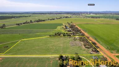 Farm For Sale - NSW - Narromine - 2821 - Build Your Dream Lifestyle on 12 Acres  (Image 2)